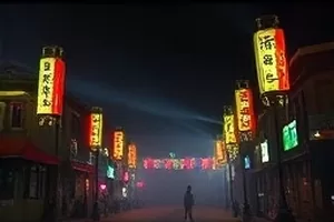 《候鸟停靠站》海报：湿地浅滩上成群停歇的候鸟